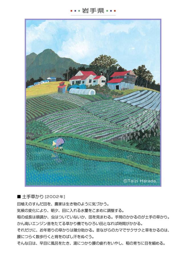 2-4茧.jpg